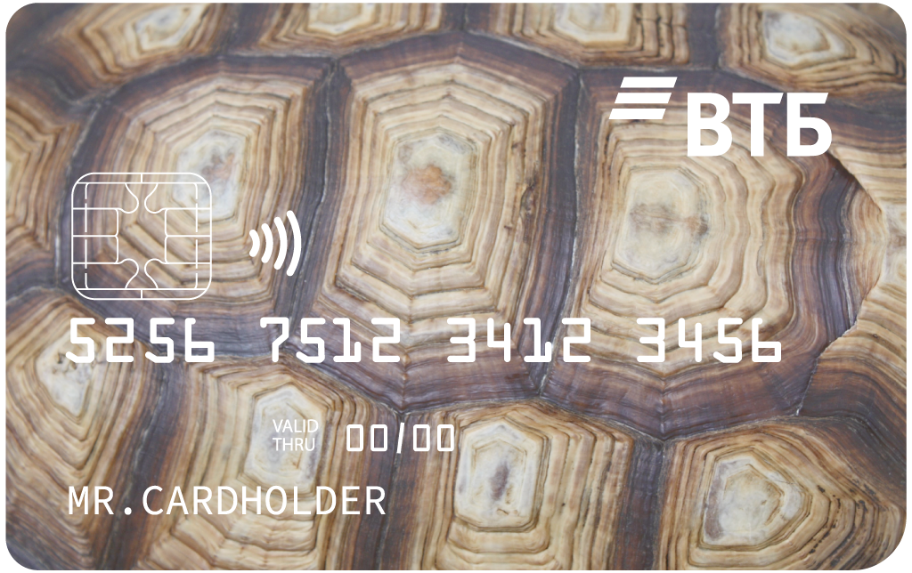 черепаха-втб-актуальная.png черепаха-втб-актуальная.png